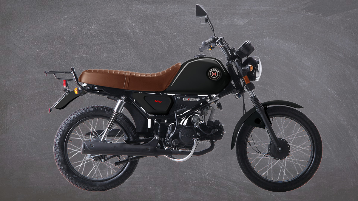 Shineray Worker 125 design