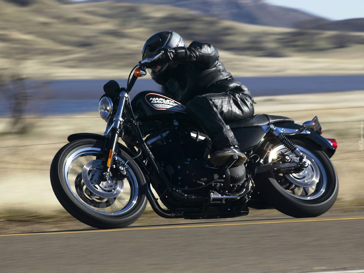 motos custom usadas Harley Davidson XL 883 R 2005